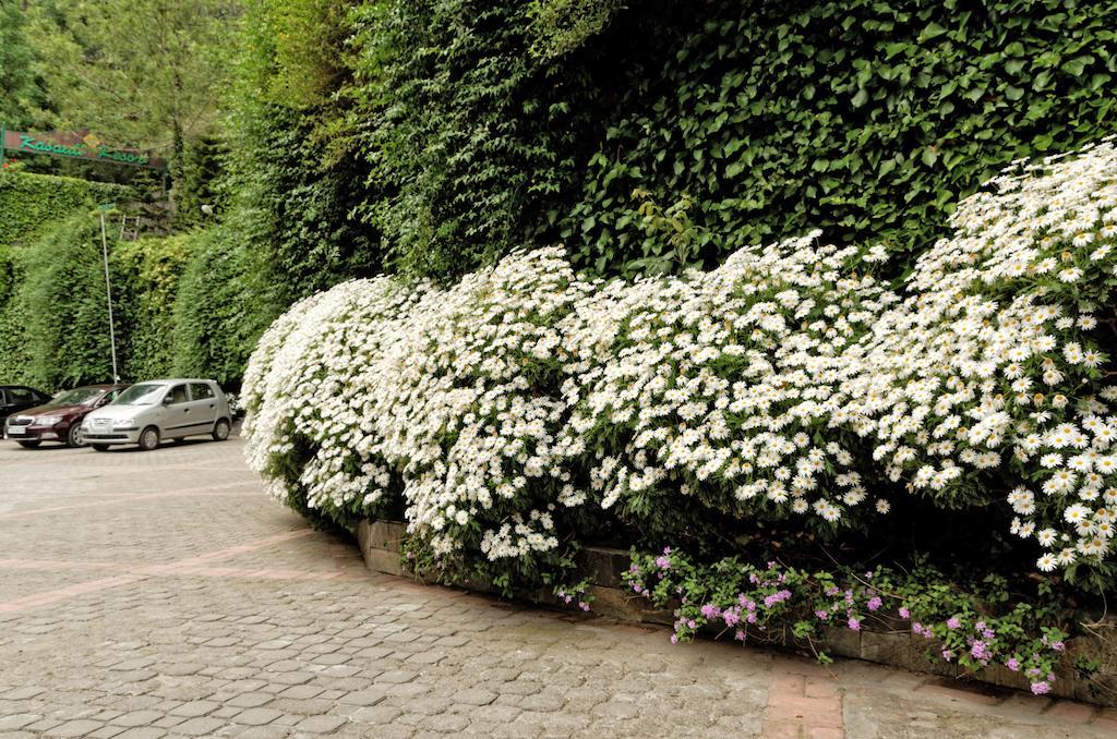 Kasauli Resort By Piccadily Exterior photo